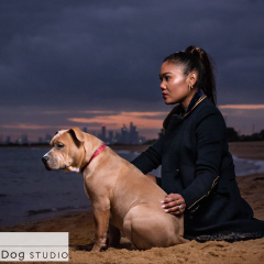 Outdoor-beach-dog-amstaff-owner-01